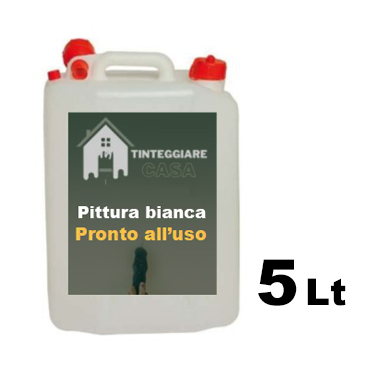 Pittura bianca Lt 5